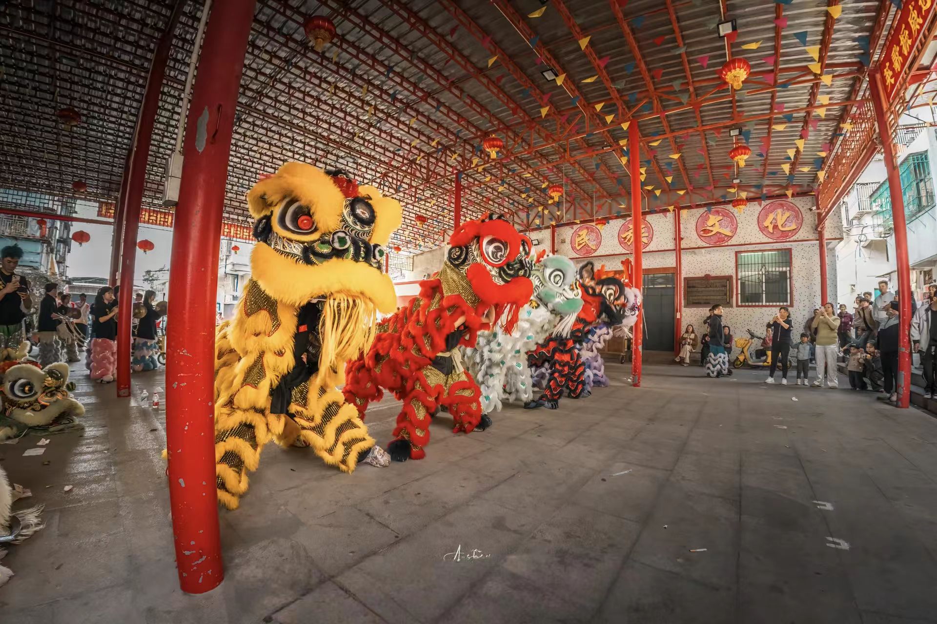 舞狮图片5